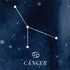 Cancer Constellation Nintendo 2DS XL (2017) Skin